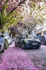 Mini Cooper S Cabrio Sidewalk 2020 года (WW)
